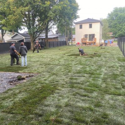 3a0f3cdf58a448c632f8a44bc814da53_fit